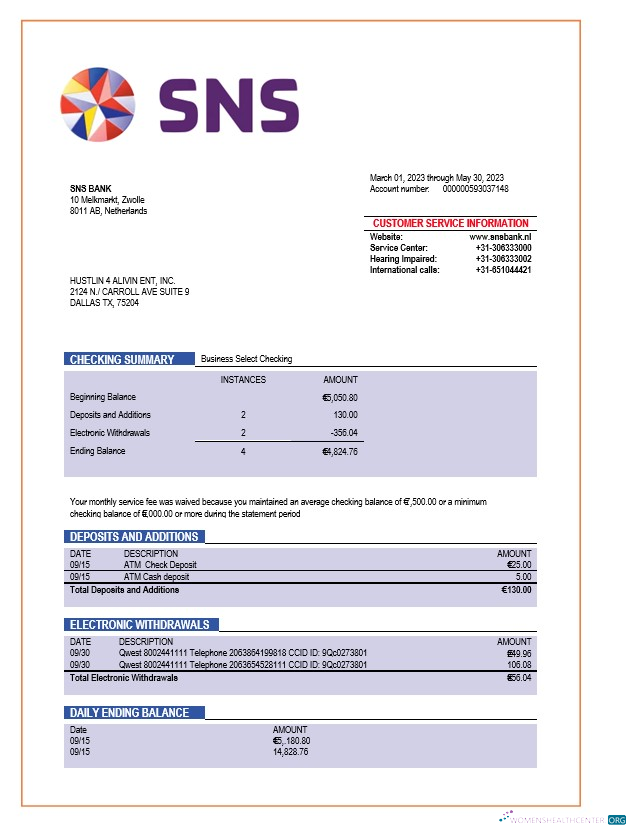 Download SNS Bank enterprise account statement Word and PDF template Photoshop template